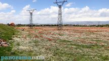 Այսօրվանից ջերմաստիճանը կսկսի բարձրանալ