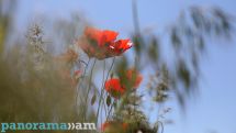 Ջերմաստիճանը կշարունակի բարձրանալ