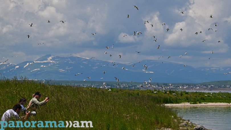 Thunderstorms, hail and heavy rain expected in Armenia