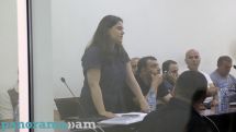 Կոմիտեում շալվար նվիրելու մեջ կոռուպցիա են տեսնում, բայց մեկ մլն դոլարի սխեմայի շուրջ հանցագործության տարրեր չեն տեսնում. Սողոյան