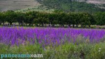 Ջերմաստիճանն առաջիկա 3 օրերին կբարձրանա