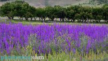 Armenia braces for cooler weather as heat subsides