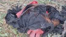 Убийство главы Паракара Володи Григоряна и его друга: задержанный пытался сжечь улики – маску, перчатки и куртку