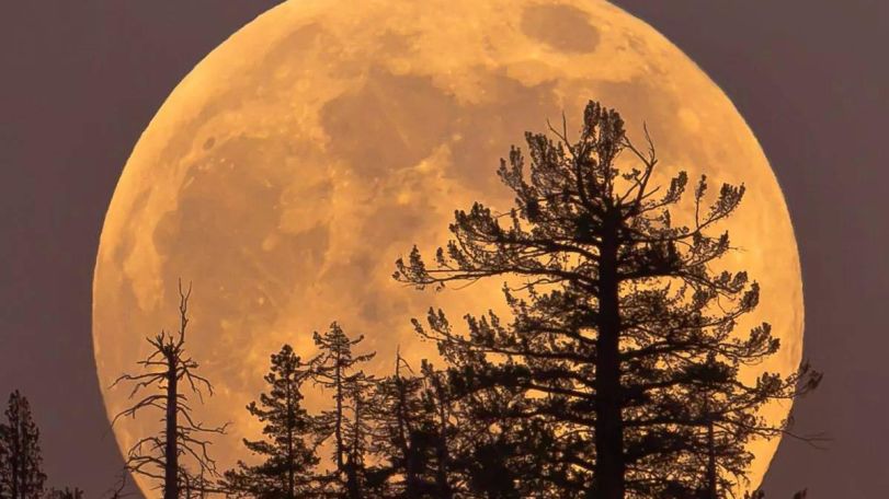 First supermoon of 2025 will appear in the skies on October 6-7