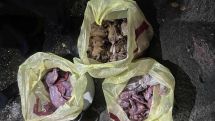 Երևանի բնակիչները Վայոց ձորում ապօրինի որսացել են 74 մոխրագույն կաքավ և 4 գորշ նապաստակ. ԲԸՏՄ