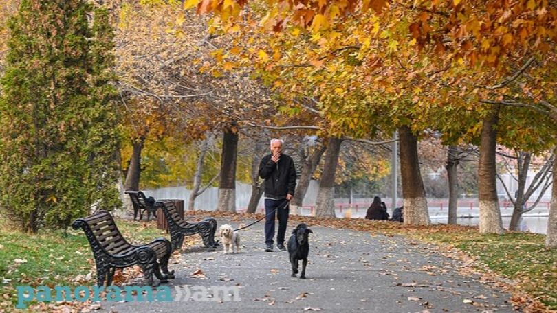 Armenian animal welfare bill sparks backlash from advocates