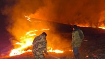 Հրդեհը «Դիլիջան ազգային պարկ»-ի տարածքում է