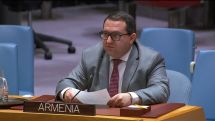 Armenia working with WHO to provide medical care for Gaza children, diplomat says