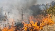 Пожар в оккупированном Азербайджаном Арцахе: огонь перекинулся на лесную полосу