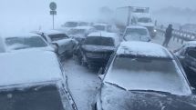 Шесть человек пострадали в ДТП с 25 автомобилями в Пензенской области РФ