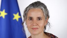 Armenian analyst decries EU envoy's remarks on demining