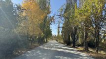 Երևանի բուսաբանական այգում կան չորացած ծառեր, որոնք ենթակա են հատման․ այգու համակարգող