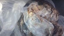 Large amount of drugs seized in Armenia's Syunik