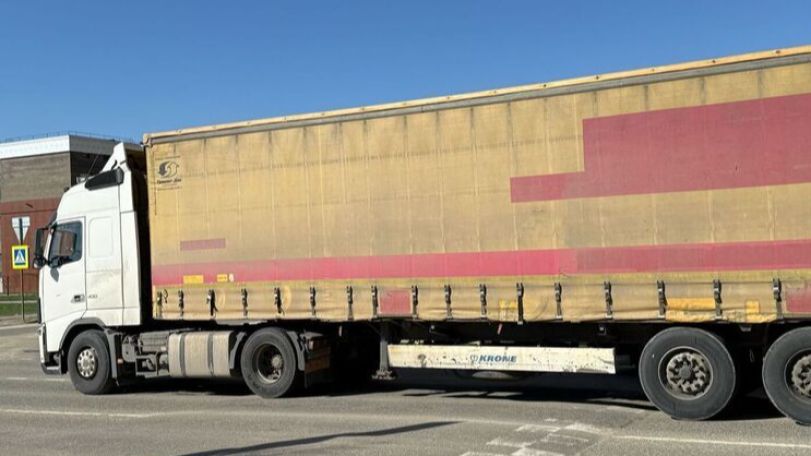 Более 1,6 тысяч фур ожидают выезда из России в Грузию