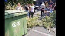 Protest held in Yerevan over controversial construction permit and tree cutting