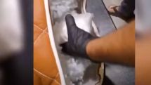 Drug smuggling attempt foiled at Armenian border crossing
