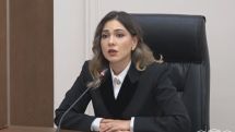 Србуи Галян: Решения об объявлении амнистии в Армении нет