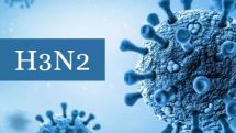 Armenia confirms influenza A strain during 2025-2026 flu season