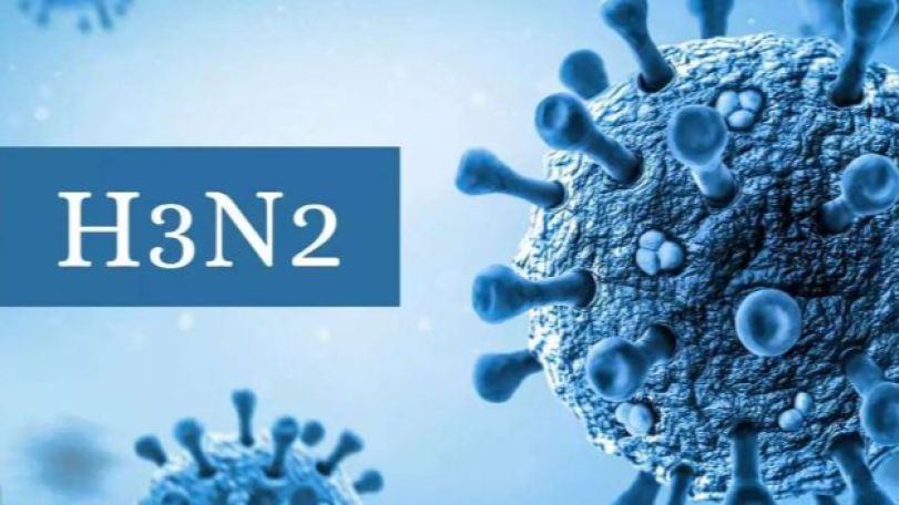 Armenia confirms influenza A strain during 2025-2026 flu season