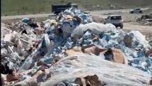 Armenia destroys 9,700 kg of NAN infant formula over potential toxin risk