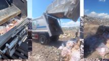 Armenia destroys 25 tonnes of expired meat products