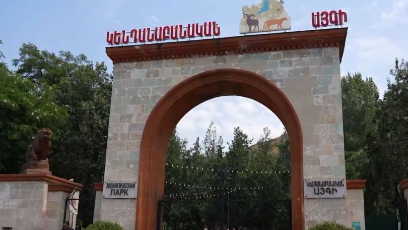 Ինչ «մղումով» է Գագիկ Ծառուկյանի կենադանիները տեղափոխվել Կենդանաբանական այգի