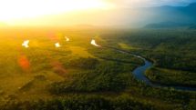 Водоемы в Бразилии окрасились в синий цвет