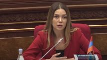 Анна Григорян: Что бы вы ни делали, как бы вы это ни обернули, это проект по отъему «Электросетей»