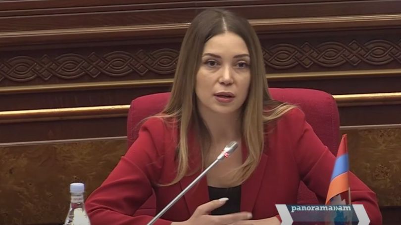 Анна Григорян: Что бы вы ни делали, как бы вы это ни обернули, это проект по отъему «Электросетей»