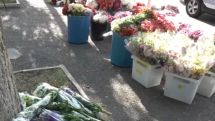 Արդեն 10 տնտեսվարող արտահանում իրականացնում է. ՍԱՏՄ-ն` ծաղկի շուկայի խնդիրների մասին