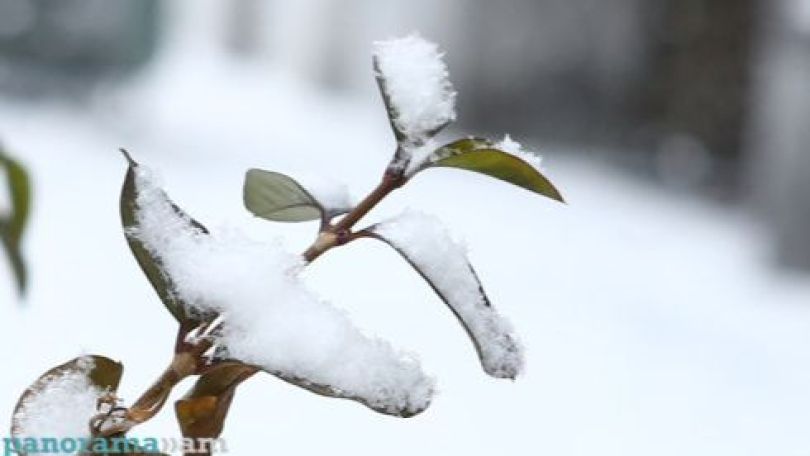 Եղանակն՝ առաջիկա օրերին
