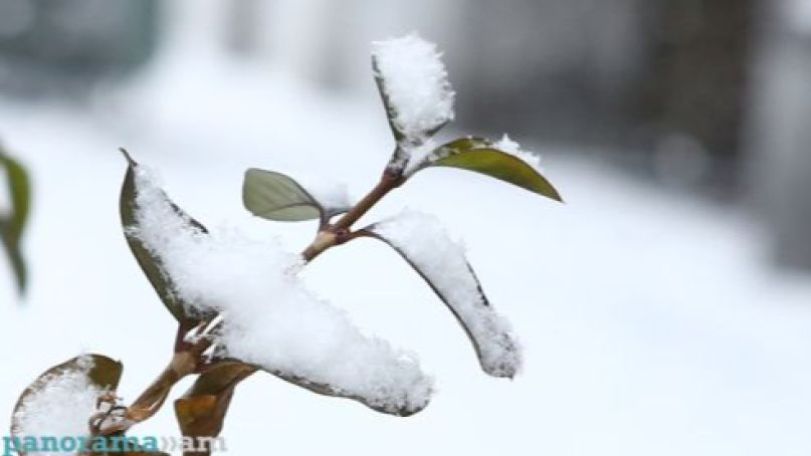 Ашоцк –37°C, Ереван до –18°C: где ночью в Армении было холоднее всего