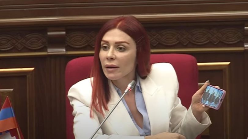 Ե՞րբ բացահայտեցիք, որ Արմեն Դանիելյանը գանձ է, գտածո․ Ագնեսա Խամոյանը՝ Փաշինյանին