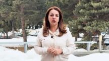 Strong Armenia party member outlines vision for national security