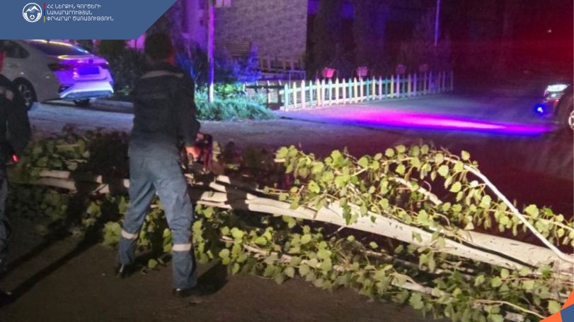 Քամուց ընկած ծառը խաթարել էր երթևեկությունը