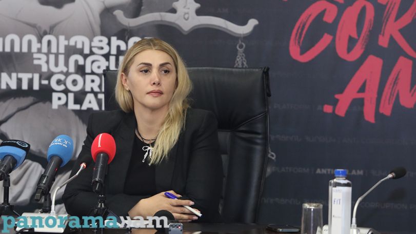Բարեգործության արգելքի պարագայում հոդվածը գործում է ընդդիմադիրներին պատժելու համար. Էլինար Վարդանյան