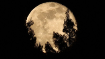 Wolf supermoon rises on Saturday