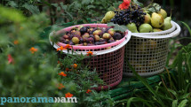 Продукты против потливости: что есть в жару?