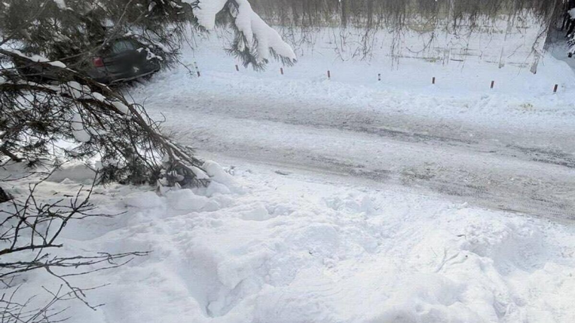 В Подмосковье мальчик скатился с горки под колеса машины и умер в больнице
