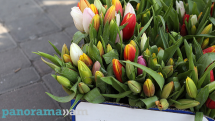 День числа π и День рек: какие праздники отмечаются 14 марта