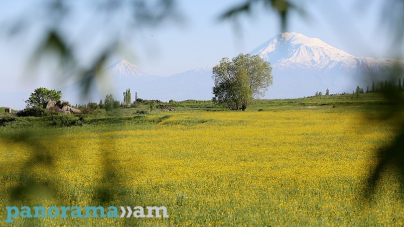 Останки палуб Ноева ковчега вероятно нашли на горе Арарат