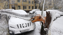 Грузовик сдуло сильным ветром на подъезде к Оренбургу