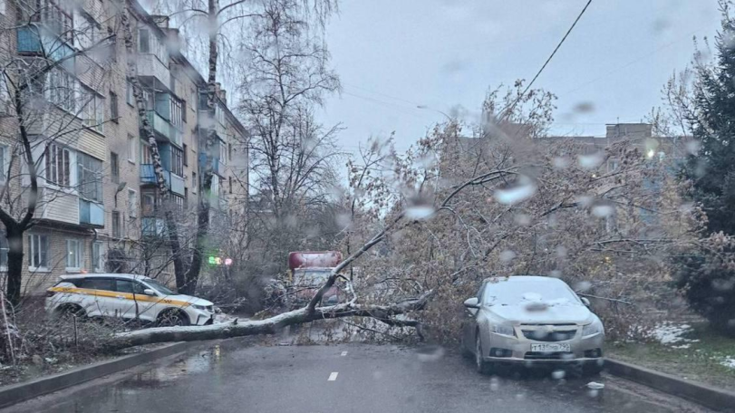 Апрельский снегопад: более 1 тыс. авто повреждено и свыше 2 тыс. деревьев повалено в Москве, Подмосковье и Самаре