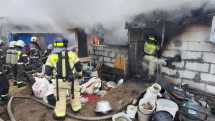 Около 200 чихуахуа заживо сгорели в российском городе