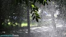 В Ереване сегодня вечером возможен кратковременный дождь