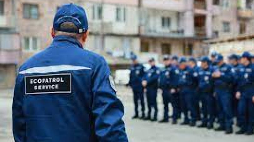 Էկոպարեկը կաշառք է ստացել ապօրինի ծառահատումը չկանխելու և իրավախախտումը չարձանագրելու համար. քրեական վարույթը դատարանում է