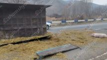 Грузовик с 30 поросятами опрокинулся в Вайоцдзорской области Армении