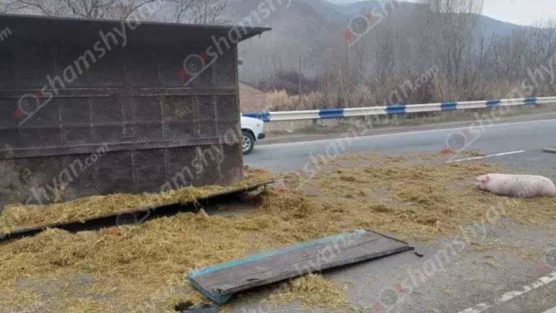 Грузовик с 30 поросятами опрокинулся в Вайоцдзорской области Армении