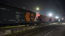 Инспекционный орган: Импортированная из Казахстана в Армению пшеница прошла экспертизу