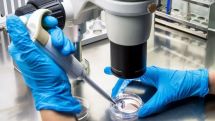 First case of hantavirus diagnosed in Israel